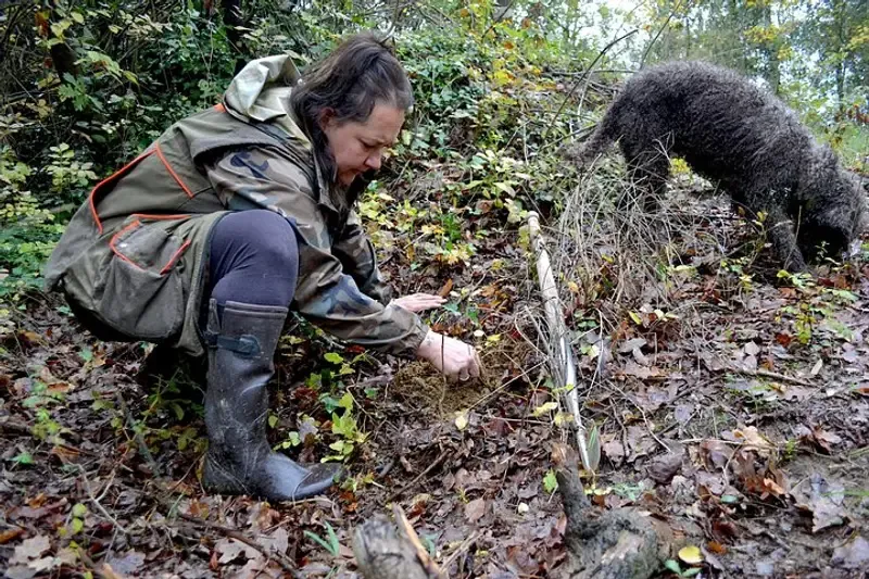 A guide and dog searching the wooded hills near San Miniato on a full-day truffle hunting tour from Florence, Tuscany