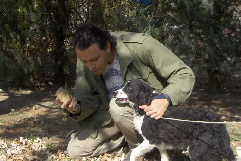 A trained dog digging for truffles in the San Miniato woods on a truffle hunting and tasting tour in Tuscany