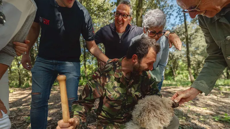 A truffle hunting dog named Roy working the woods near a castle on a truffle hunting day trip from Florence to San Gimignano, Tuscany