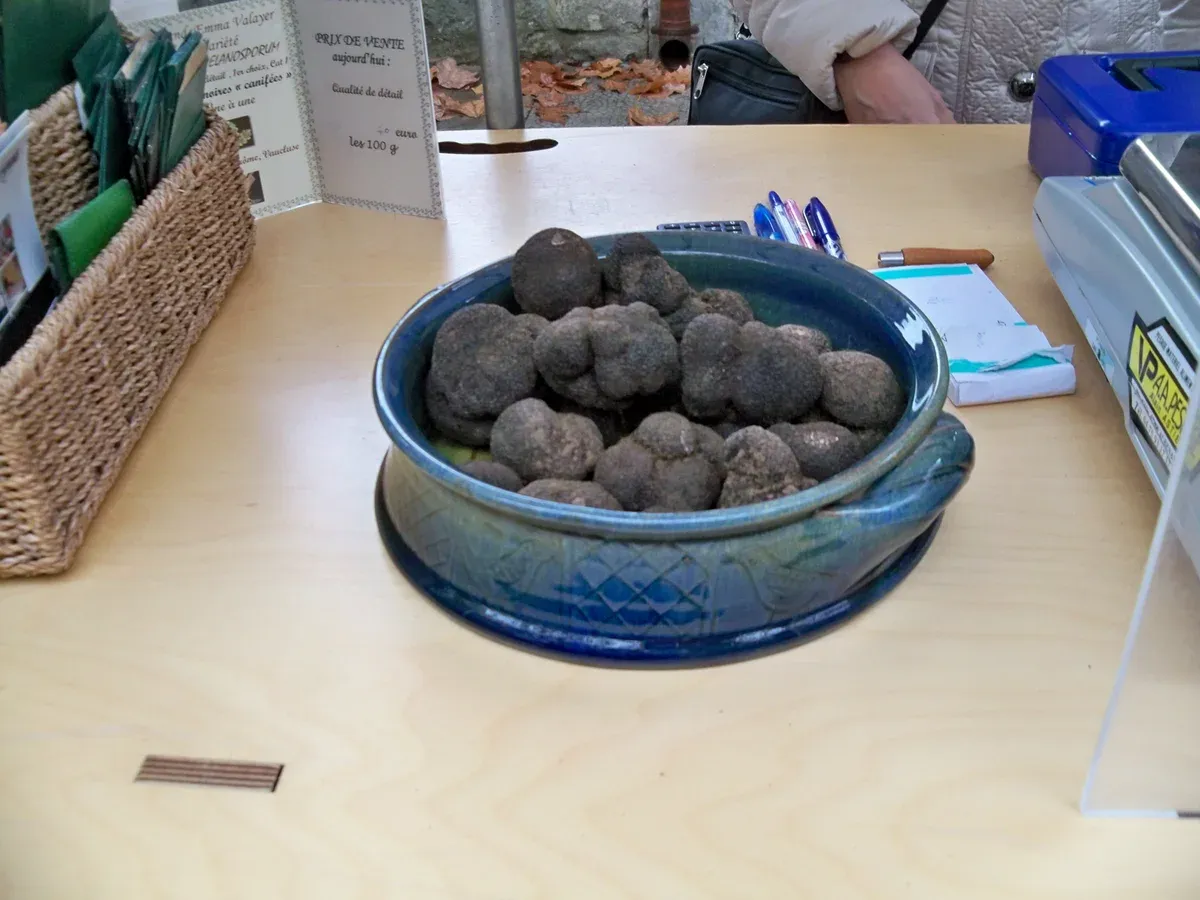 A bowl of black winter truffles, found on winter truffle hunting in Tuscany from mid-November