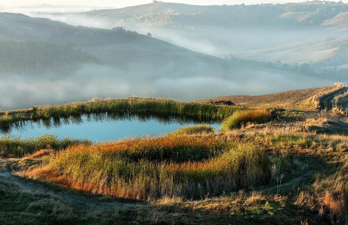 Autumn on the Crete Senesi clay hills, white truffle country for truffle hunting in Tuscany south of Siena